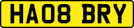 HA08BRY