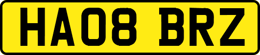 HA08BRZ