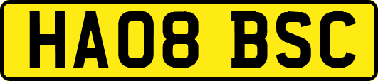 HA08BSC