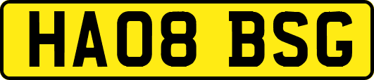 HA08BSG