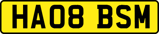 HA08BSM