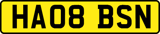 HA08BSN