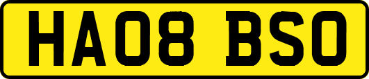 HA08BSO