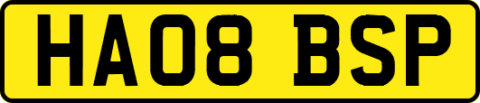 HA08BSP