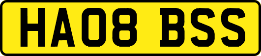 HA08BSS