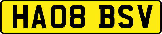 HA08BSV