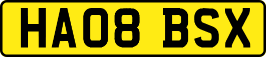 HA08BSX
