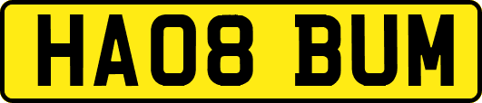 HA08BUM
