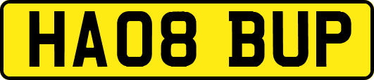 HA08BUP