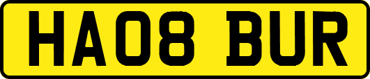 HA08BUR