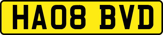 HA08BVD