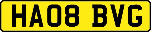 HA08BVG