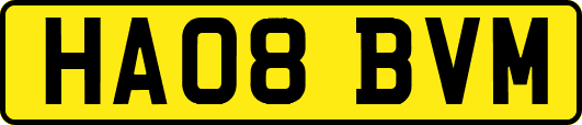 HA08BVM