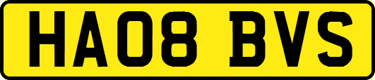 HA08BVS