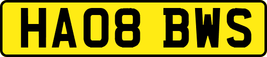 HA08BWS