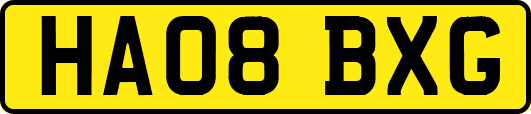 HA08BXG