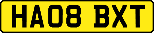 HA08BXT