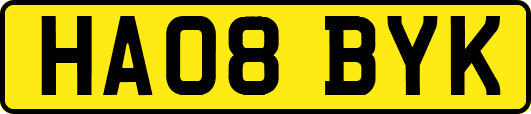 HA08BYK
