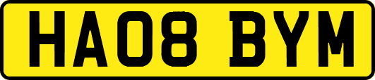 HA08BYM