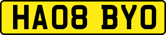 HA08BYO