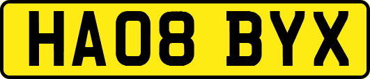 HA08BYX