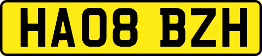 HA08BZH