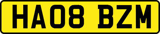 HA08BZM