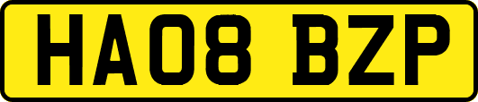 HA08BZP