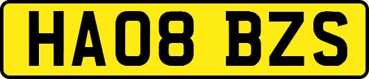 HA08BZS