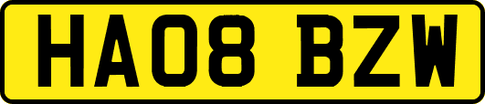 HA08BZW