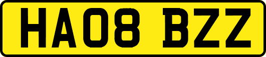 HA08BZZ