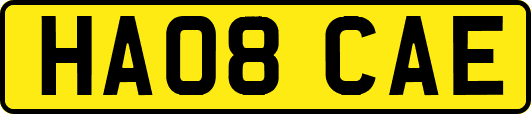 HA08CAE
