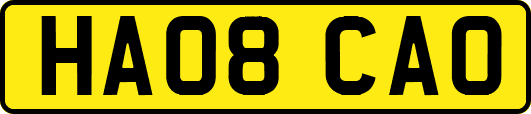 HA08CAO