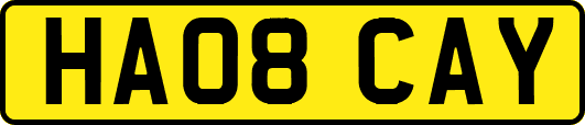 HA08CAY