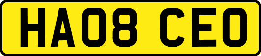 HA08CEO