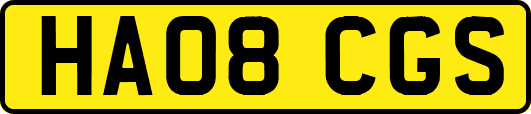 HA08CGS