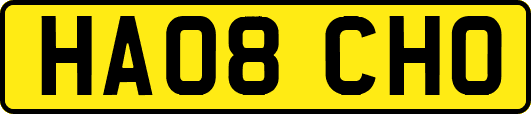 HA08CHO