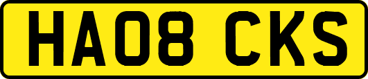 HA08CKS