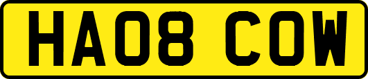 HA08COW