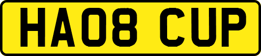 HA08CUP