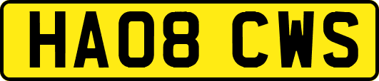 HA08CWS