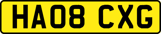 HA08CXG
