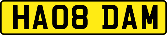 HA08DAM