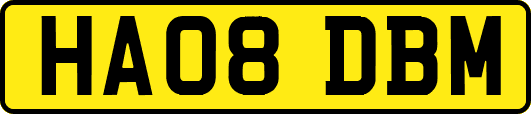 HA08DBM