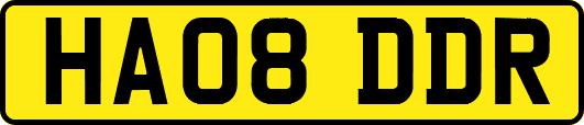 HA08DDR