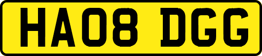 HA08DGG