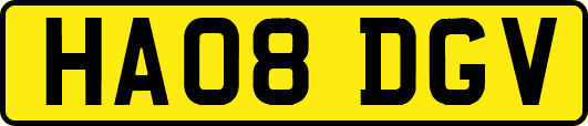 HA08DGV