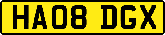 HA08DGX
