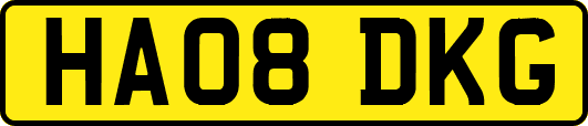 HA08DKG