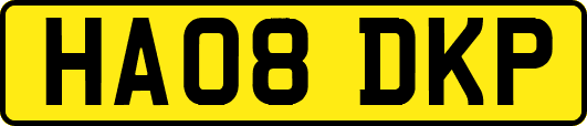 HA08DKP
